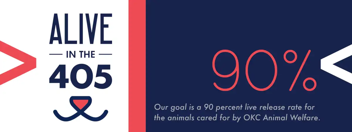The OKC Animal Shelter Alive in the 405 program
